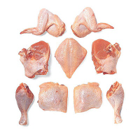 Premium Quality Frozen Chicken Parts Supplier