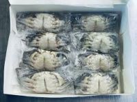 Premium Frozen Crabs Exporter and Wholesale Supplier