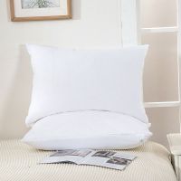 ZC24052 Zipper Enclosure Waterproof Pillow Encasement