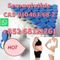 Semaglutide  CAS 910463-68-2