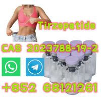 Tirzepatide  CAS 2023788-19-2