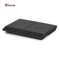 ID35-T07 Dual Zone Portable Induction