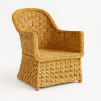 PN16 Rattan Lounge Chair Shell Nest