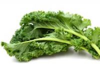 Malaysia Premium Tropical Freshly Picked Baby Kale Highest Quality 100% Natural Wholesale Price
