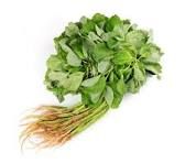 Malaysia Daddy Farm Baby Bayam With Lowest Price For Supermarket