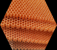 Aramid Honeycomb