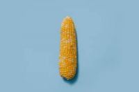 High Standard Maize Corn for Global Buyers