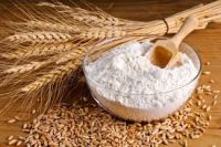 Premium Natural Wheat Grain For Wholesale