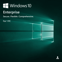Microsoft Windows 10/11 Enterprise Online