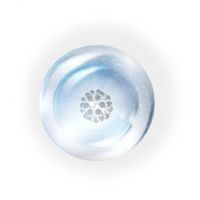 Recombinant Humanized Collagen Type XVII 17