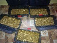 Unwrought Gold, Gold Bars