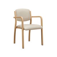 Modern Metal Wood Grain Armchair YW5803