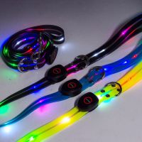 Stylish PVC LED Glow Dog Leash