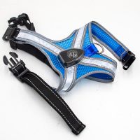 Reflective LED Safety Pet Harness For