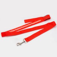 Basic Polyester LED Glow Leash For