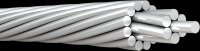 All Aluminum Conductor AAC 1350 Conductor