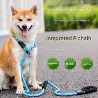 Outdoor One-Piece Adjustable Explosion-proof Reflective Dog Walking P-Chain Leash
