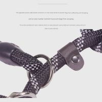 Outdoor One-Piece Adjustable Explosion-proof Reflective Dog Walking P-Chain Leash 