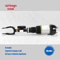 Front Left Air Suspension Shock Absorbers