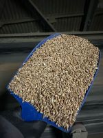 Milling wheat protein 12.50%