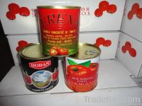 Gino Quality Concentraed Tomato Paste & Ketchup & Sauce for Africa