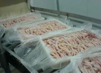 Premium Quality Halal Frozen Chicken Feet | Frozen Chicken Paws Bulk Stock at Wholesale Cheap Price
