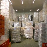 High Quality Frozen Chicken Feet For