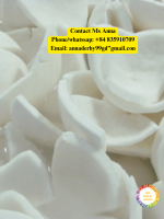 Premium Fresh White Coconut Meat for Smoothies and Desserts from Vietnam