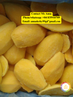 High Quality Frozen Mango Slices IQF Vietnam for Export Natural Sweet Tropical Fruit for Juice Dessert and Food Industry