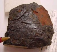 Industrial Coltan Ore (TaÃ¢ï¿½ï¿½OÃ¢ï¿½ï¿½) for Sale Ã¢ï¿½ï¿½ Reliable Congo Supply, Certified