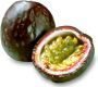 Passionfruit