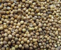 Quality Coriander Seeds