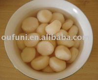 Canned Whole  Water Chestnuts