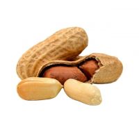 100% Natural Various Size  Delicious Peanuts