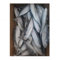 Best Service Seafood Fish 300-500g