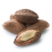 Brazil Nuts Natural Raw Nuts Shelled