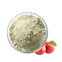 Healthy Food Dried Fruits Dehydrated Blueberry