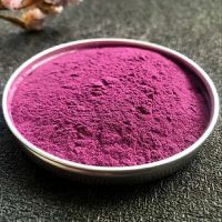 Premium Blueberry Powder For Gourmet Food