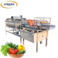 Fruits And Vegetables Vortex Washing Machine