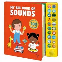 Audio Book Push Button Sound Books