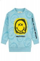 Premium Custom Sweatshirts &acirc;�� Crewneck / Oversized / Fashion Styles
