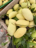 Passion fruit, Mango