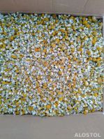 Premium Egyptian Chamomile Flowers &acirc;�� Export Quality