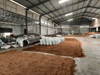 Cocopeat Low EC - Premium Growing Medium