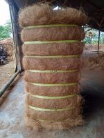 Cocofiber - Premium Coconut Fiber For Industry