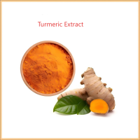 Turmeric Extract