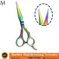 Hair Scissors Set