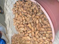 Better Kola , Palm Oil , Kennel Oil