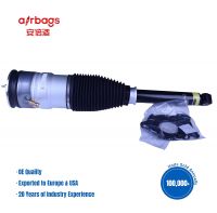 Air Shock Absorber