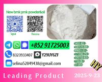 High-Purity P.M.K 28578-16-7 and 5449-12-7